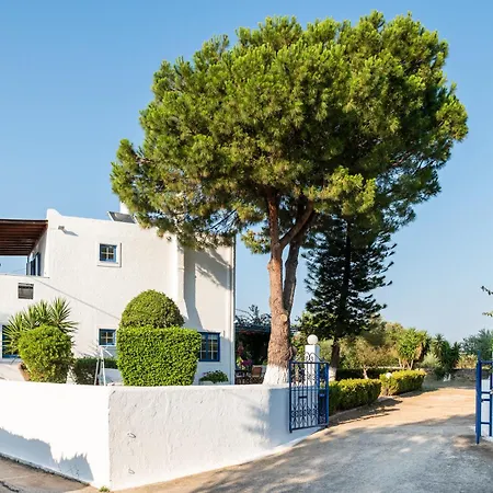 To Pyrgaki 科斯镇