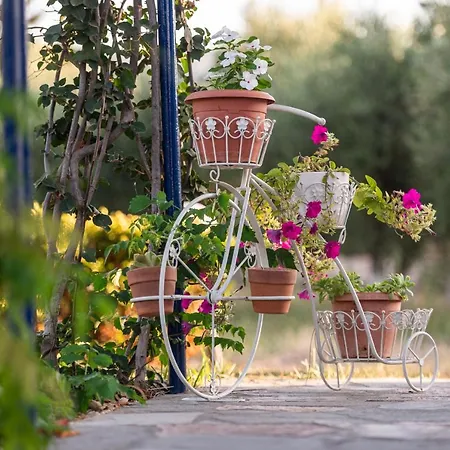 To Pyrgaki Kos-Stadt